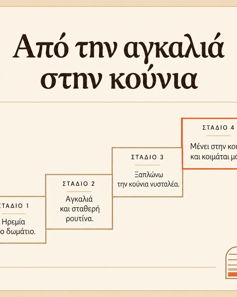Σελίδα του πλάνου